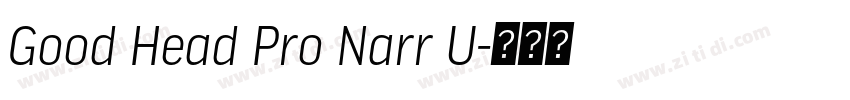 Good Head Pro Narr U字体转换 Good Head Pro Narr U字体转换